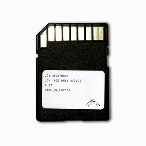 女孩子的隐藏部位清晰照片
