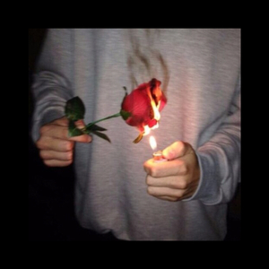 女孩子的隐藏部位清晰照片
