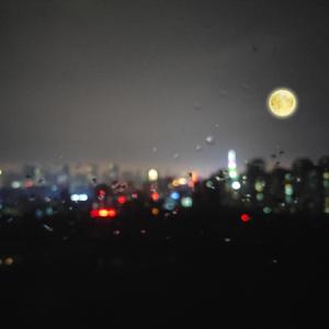 女孩子的隐藏部位清晰照片
