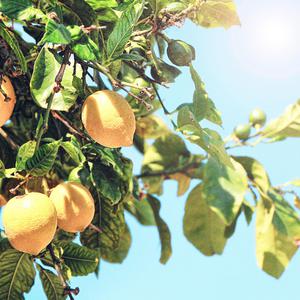 女孩子的隐藏部位清晰照片
